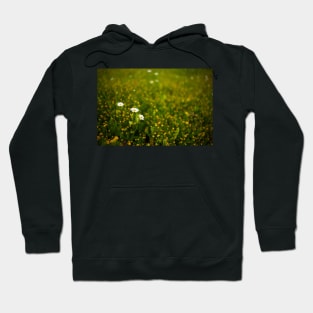 Wild flowers in a field Hoodie